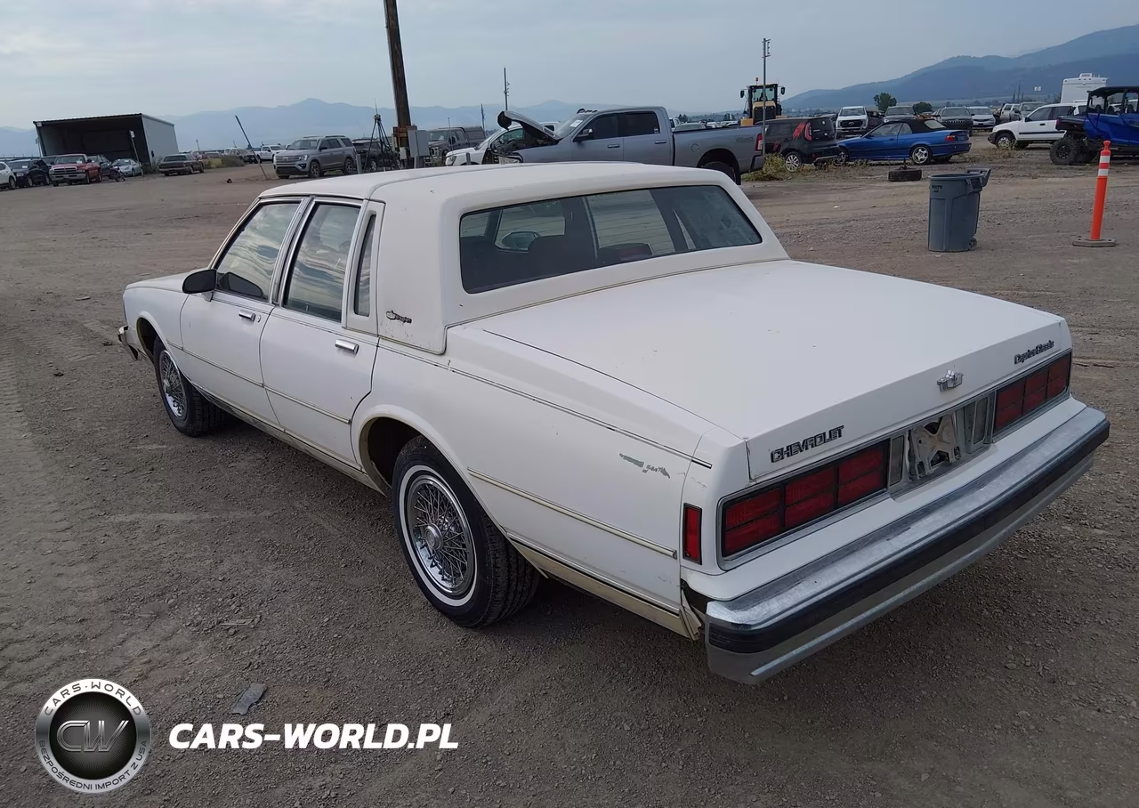 1989 Chevrolet Caprice Classic Brougham VIN:1G1BU51E3KA142062 - 3