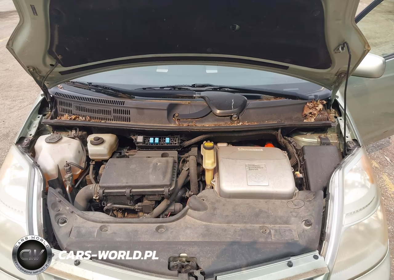2008 Toyota Prius VIN:JTDKB20U187738491 - 10