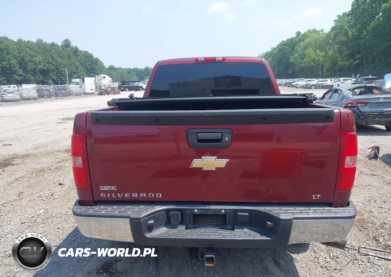 2009 Chevrolet Silverado 1500 Lt VIN:2GCEK290X91110375 - 16