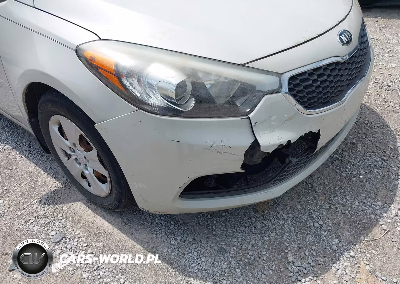 2015 Kia Forte Lx VIN:KNAFK4A69F5331523 - 12