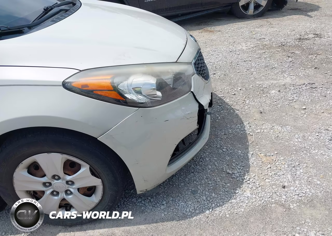 2015 Kia Forte Lx VIN:KNAFK4A69F5331523 - 13