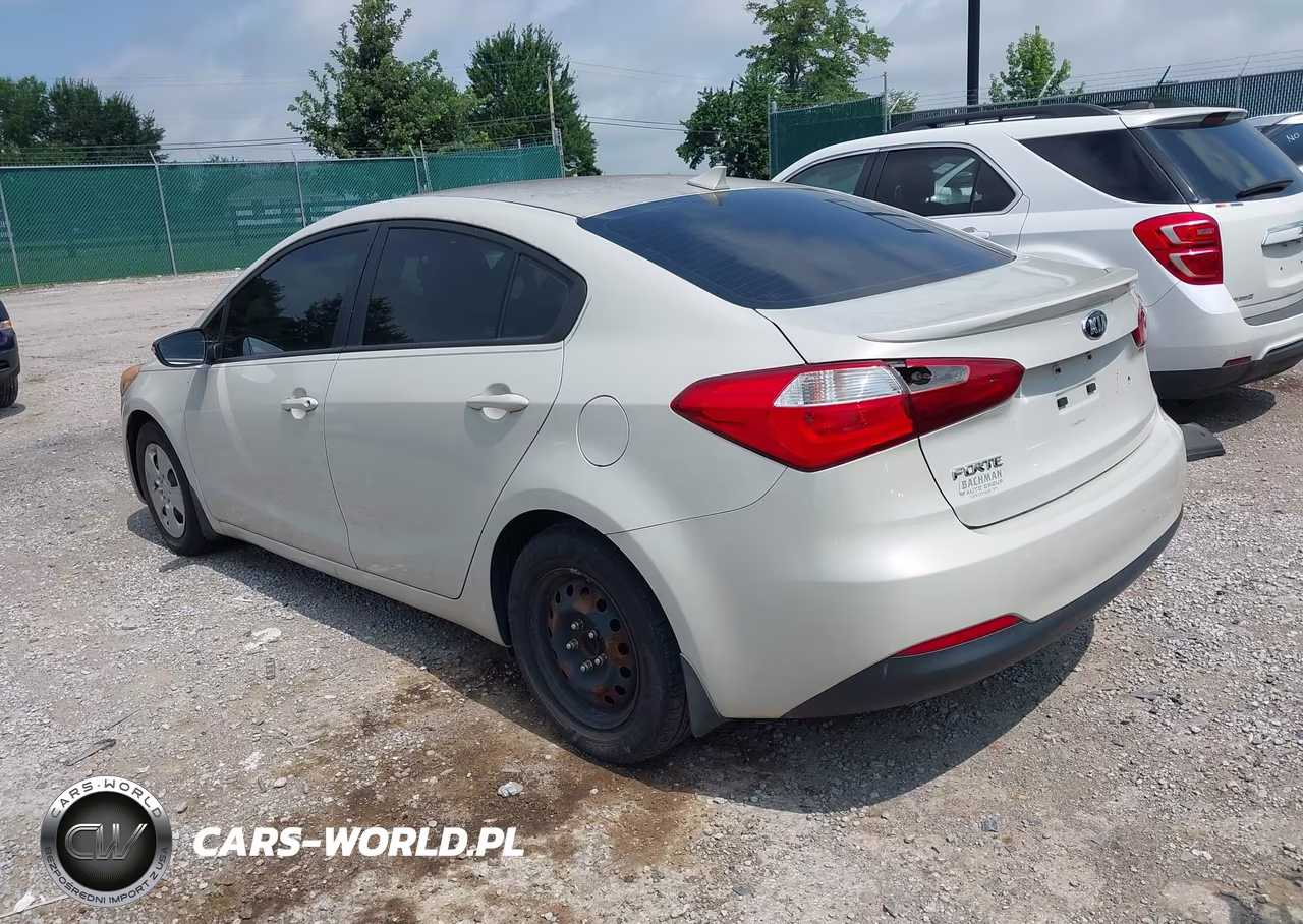 2015 Kia Forte Lx VIN:KNAFK4A69F5331523 - 3