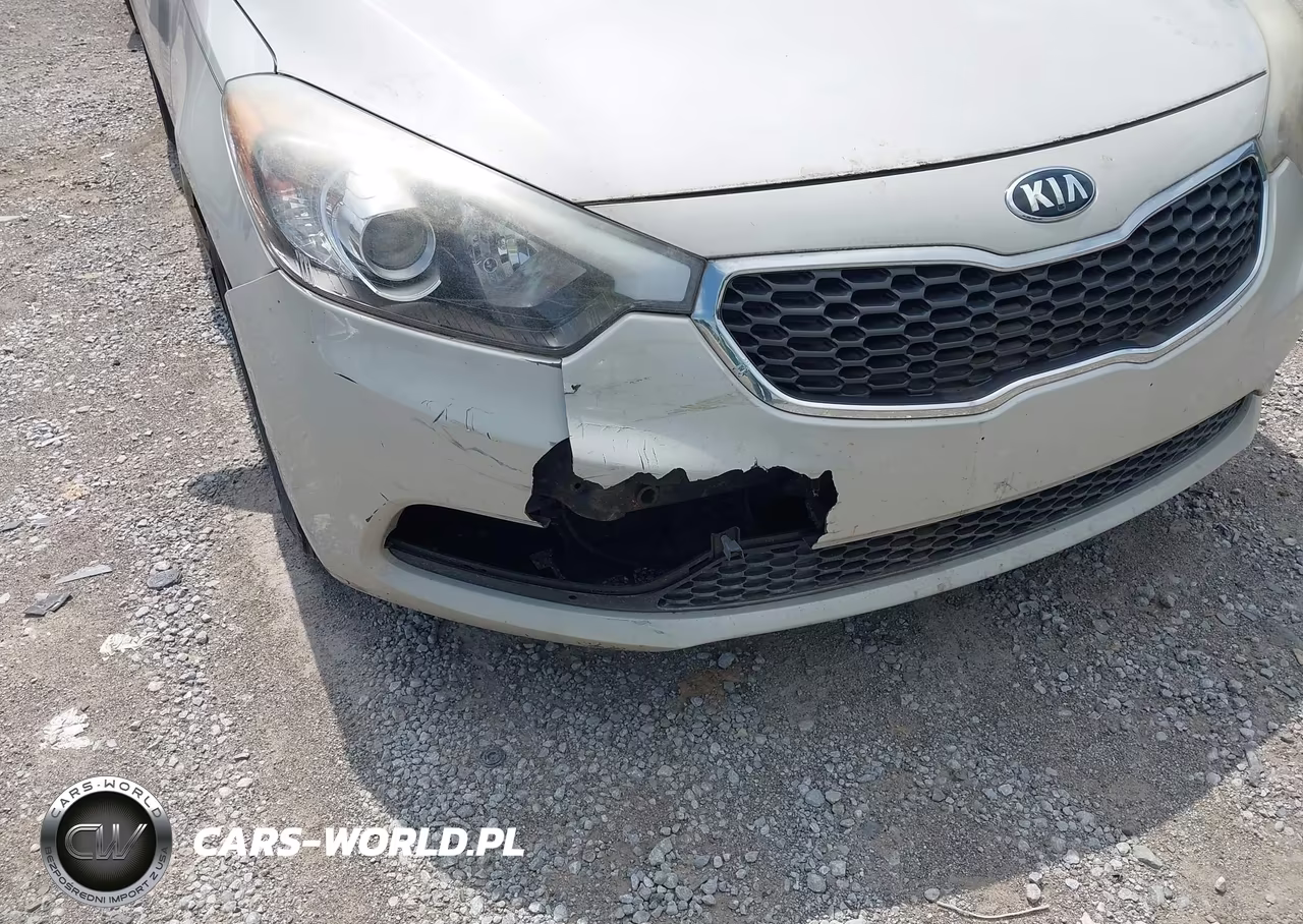 2015 Kia Forte Lx VIN:KNAFK4A69F5331523 - 6