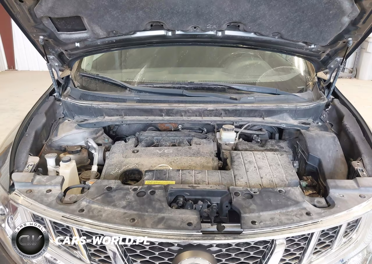2013 Nissan Murano Sv VIN:JN8AZ1MWXDW318908 - 10