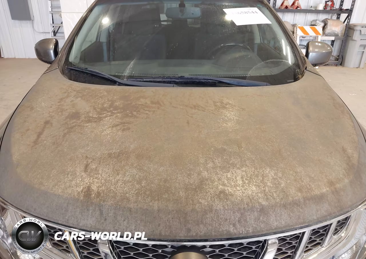 2013 Nissan Murano Sv VIN:JN8AZ1MWXDW318908 - 6