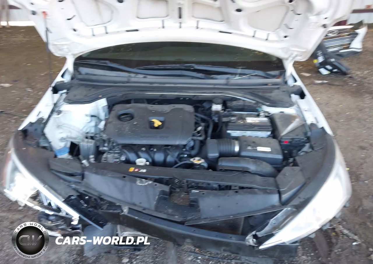 2019 Hyundai Elantra Se VIN:5NPD74LF8KH439733 - 10