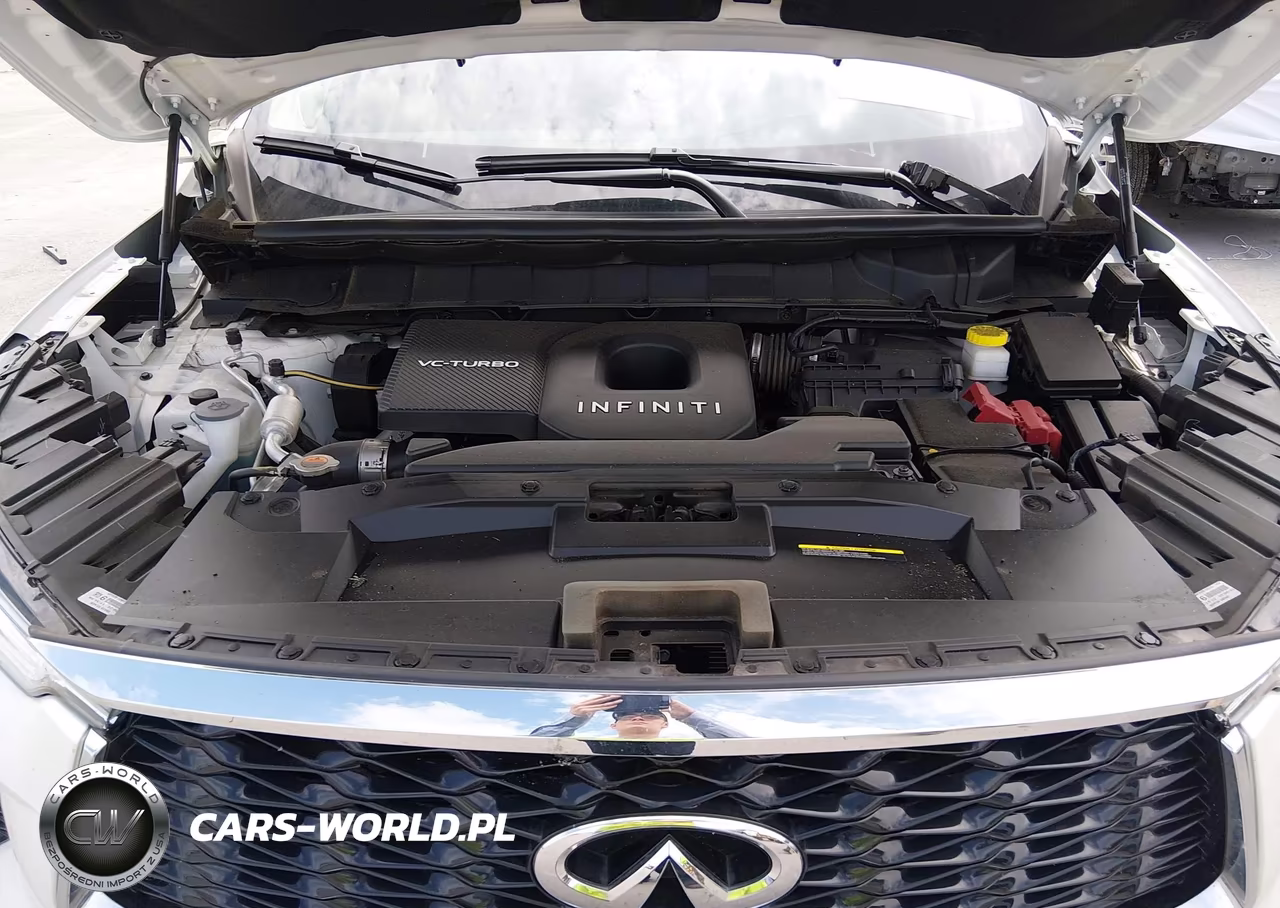 2025 Infiniti Qx60 Luxe VIN:5N1AL1FR3SC347455 - 10