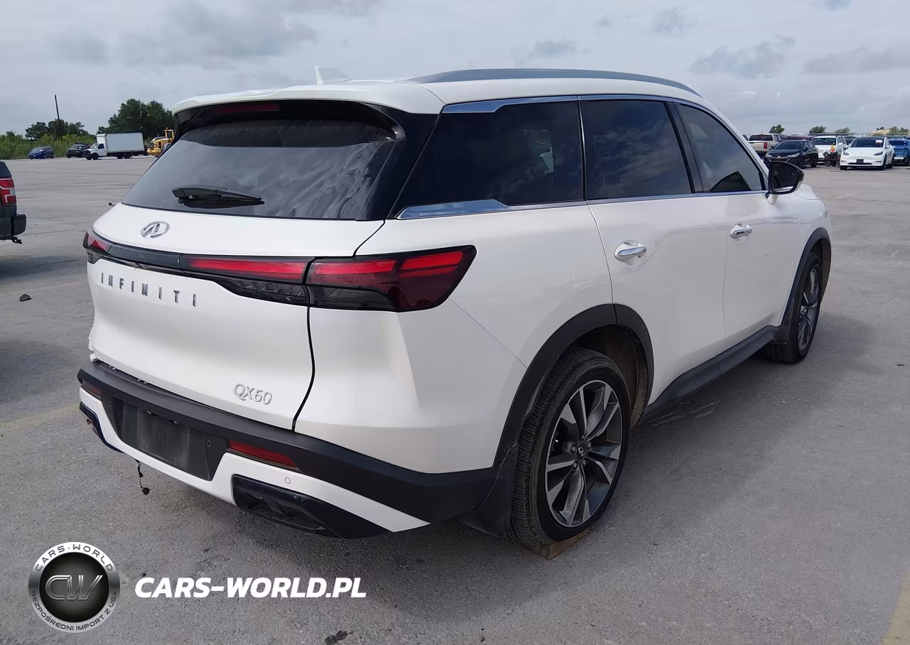 2025 Infiniti Qx60 Luxe VIN:5N1AL1FR3SC347455 - 4