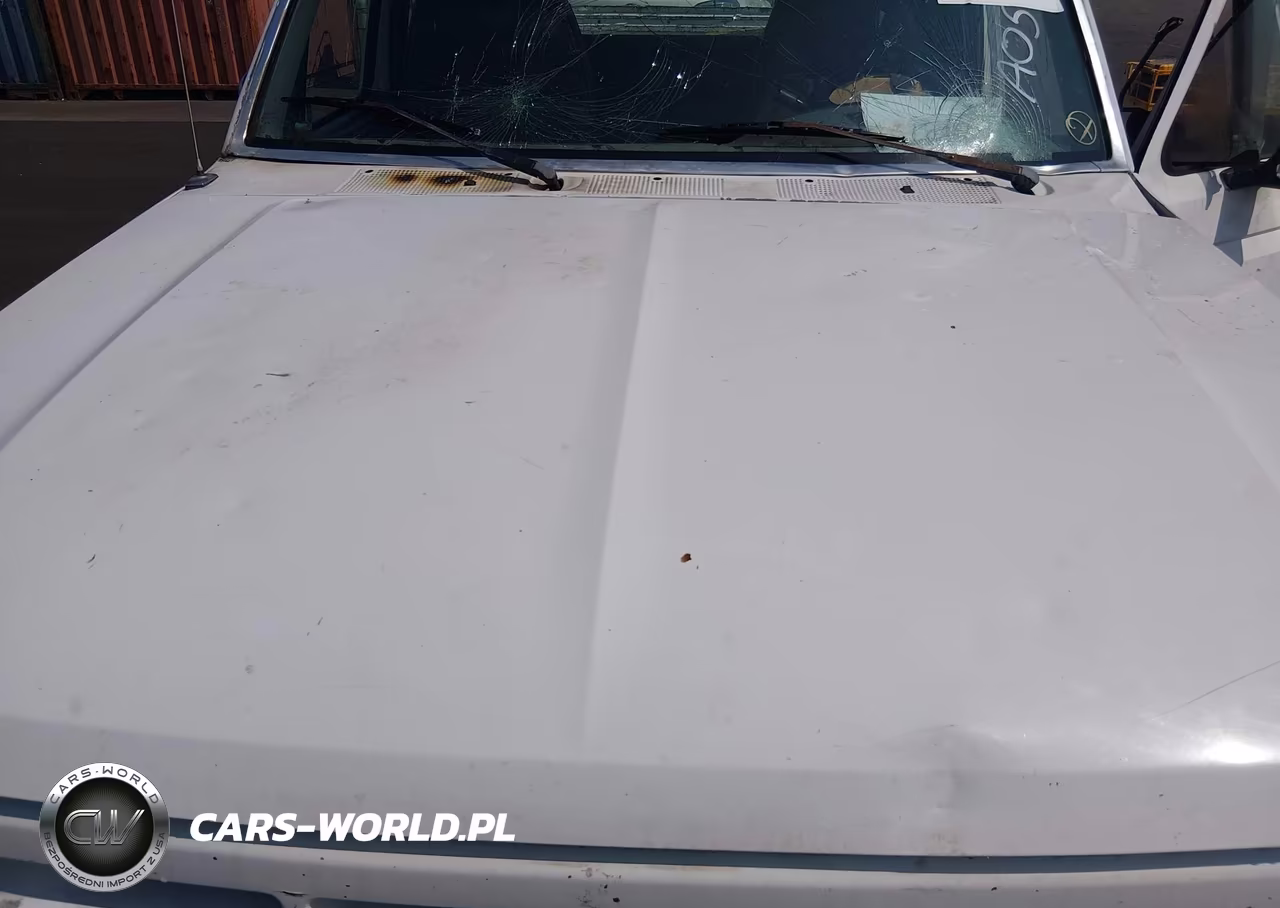 1996 Ford F150 VIN:1FTEX15H4TKA05250 - 10