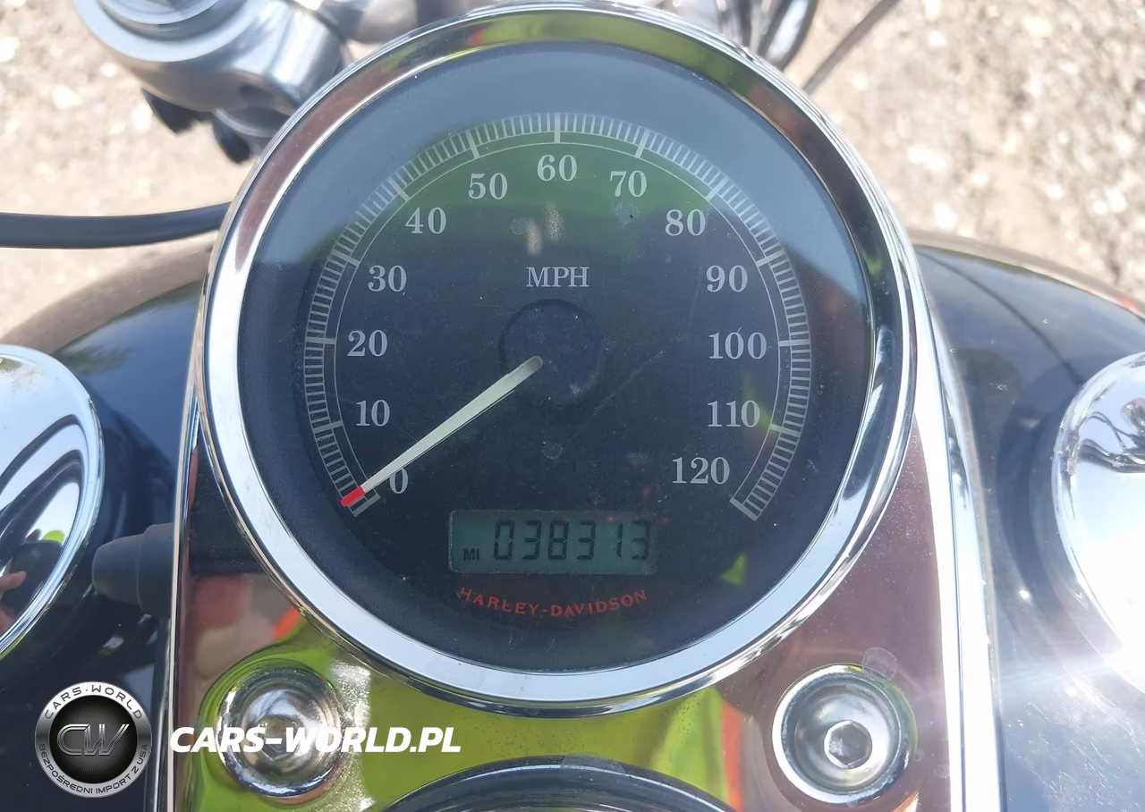 2008 Harley-Davidson Fxdl VIN:1HD1GN41X8K338729 - 7