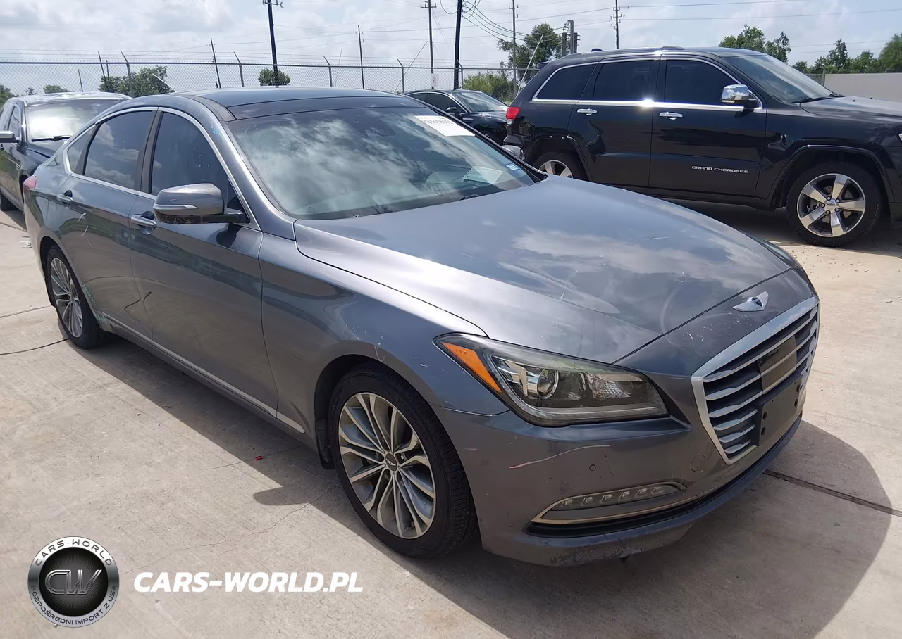2016 Hyundai Genesis 3.8 VIN:KMHGN4JE6GU126377 - 1