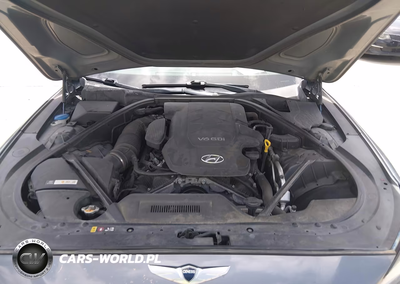 2016 Hyundai Genesis 3.8 VIN:KMHGN4JE6GU126377 - 10