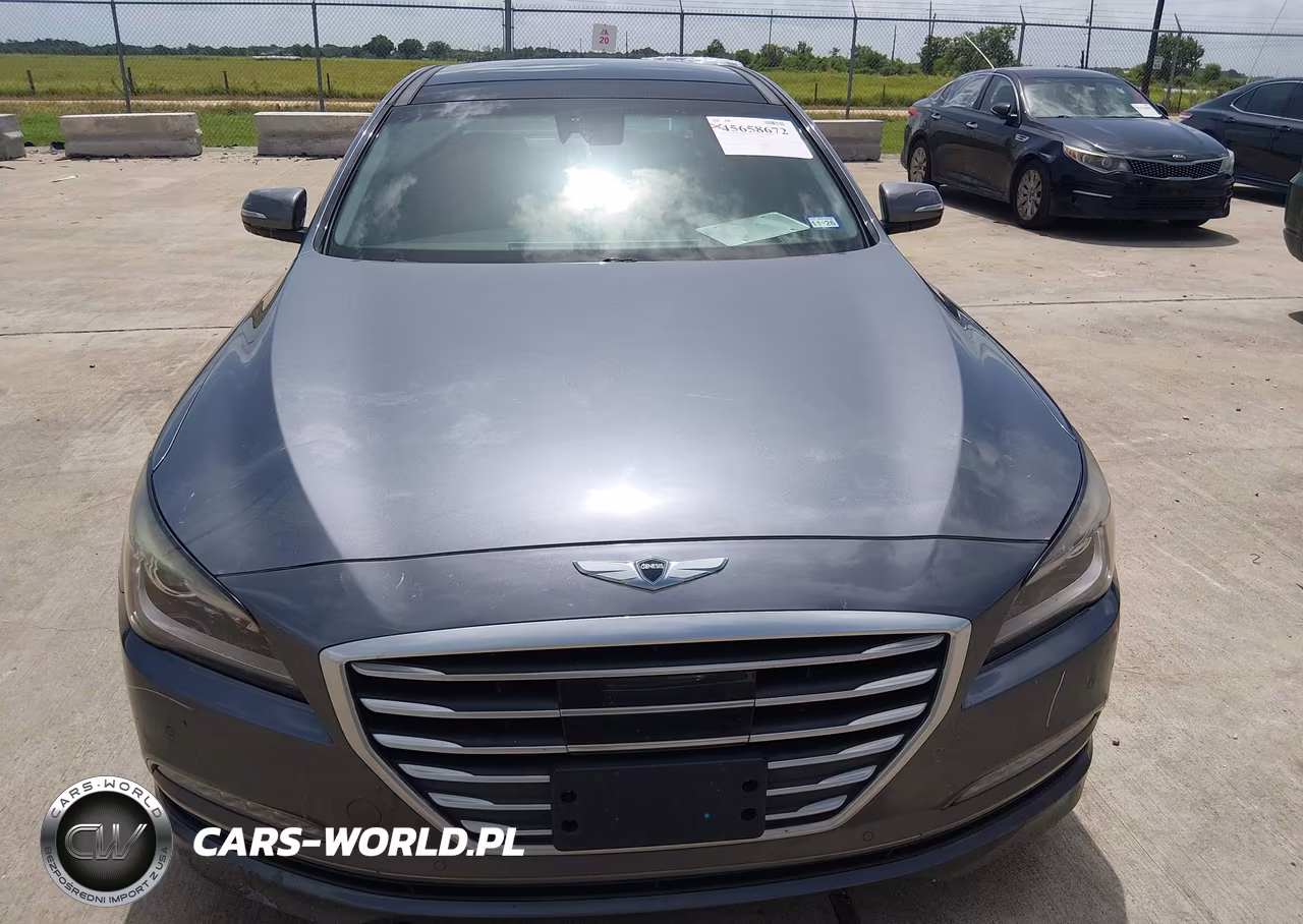 2016 Hyundai Genesis 3.8 VIN:KMHGN4JE6GU126377 - 12