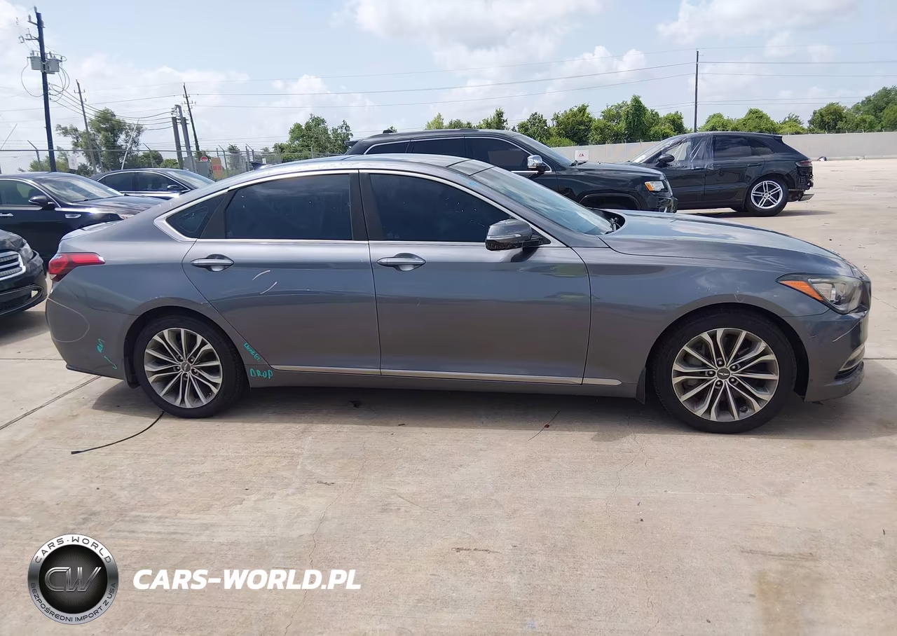 2016 Hyundai Genesis 3.8 VIN:KMHGN4JE6GU126377 - 13