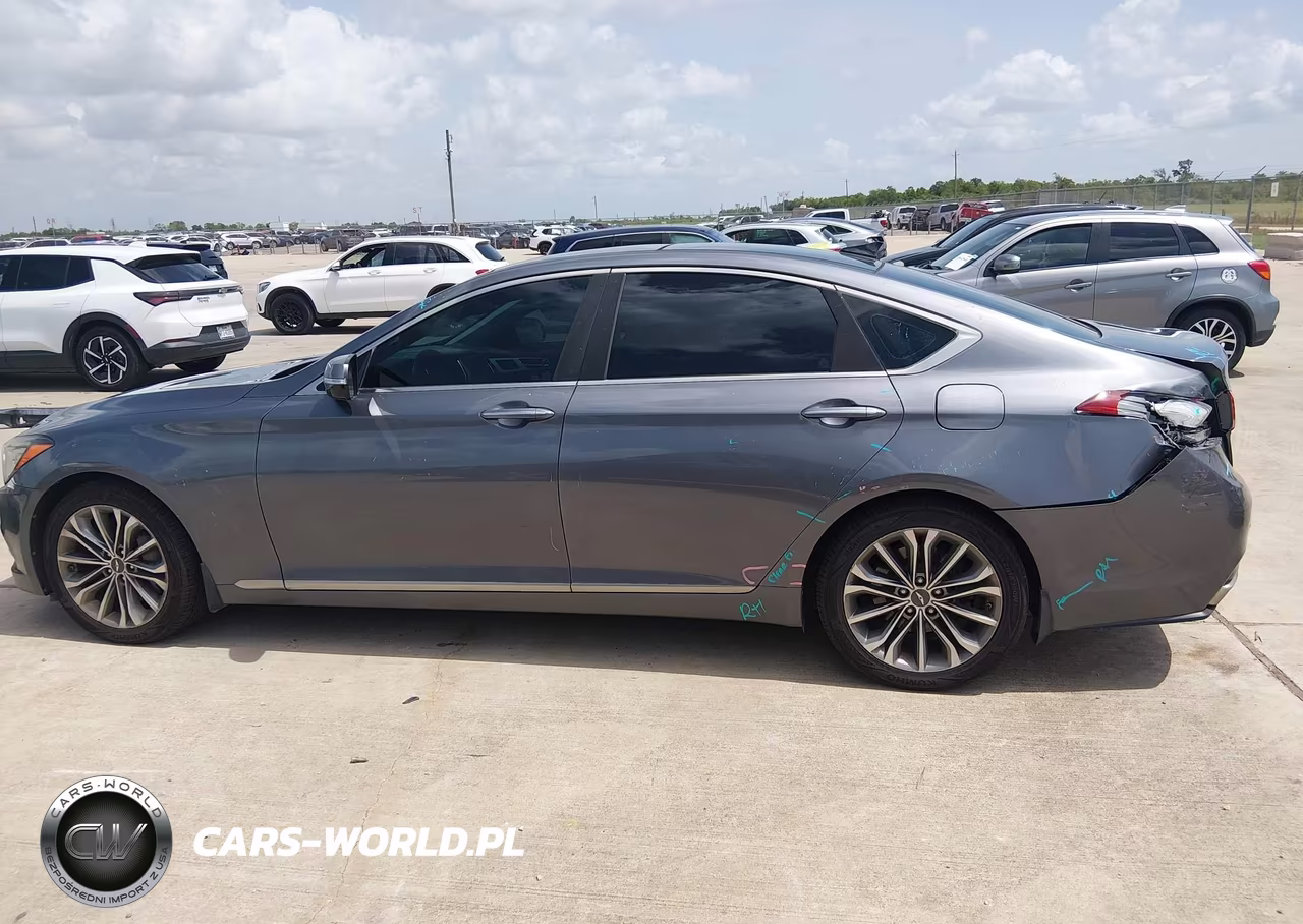 2016 Hyundai Genesis 3.8 VIN:KMHGN4JE6GU126377 - 14