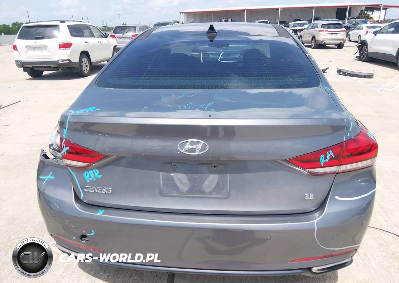 2016 Hyundai Genesis 3.8 VIN:KMHGN4JE6GU126377 - 16