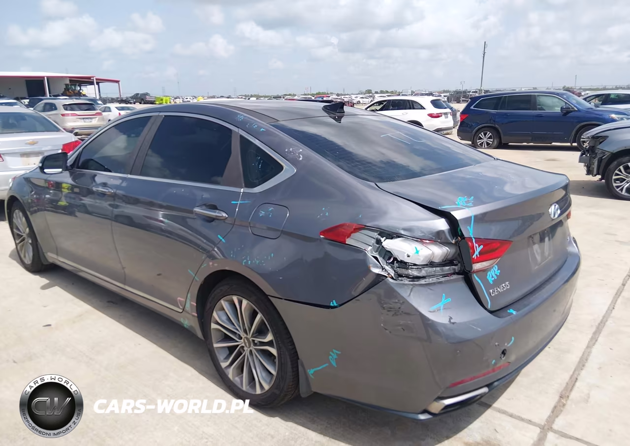 2016 Hyundai Genesis 3.8 VIN:KMHGN4JE6GU126377 - 3