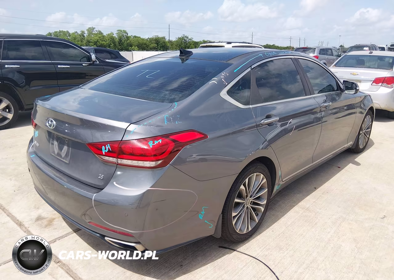 2016 Hyundai Genesis 3.8 VIN:KMHGN4JE6GU126377 - 4