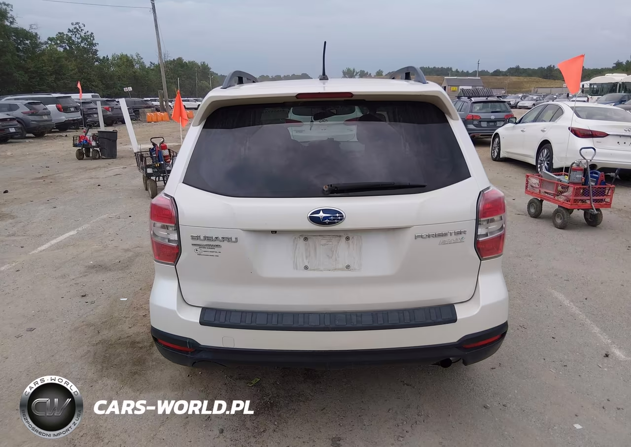 2014 Subaru Forester 2.5I Limited VIN:JF2SJAHC7EH494832 - 17