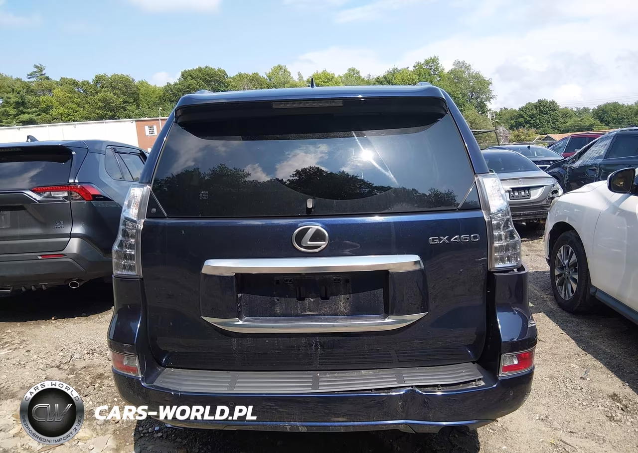 2020 Lexus Gx 460 Luxury VIN:JTJGM7BX7L5254914 - 16