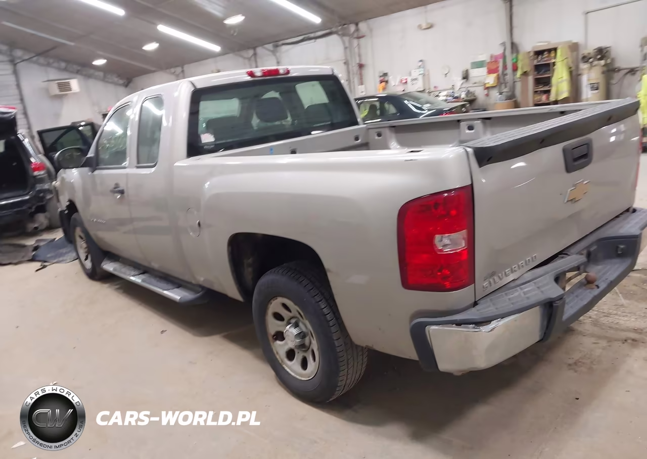 2009 Chevrolet Silverado 1500 Work Truck VIN:1GCEC19X79Z149856 - 3