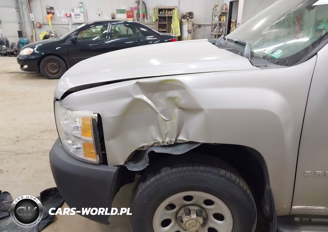 2009 Chevrolet Silverado 1500 Work Truck VIN:1GCEC19X79Z149856 - 6