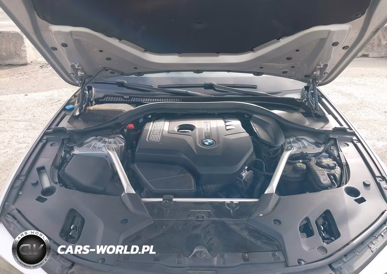 2019 BMW 530I VIN:WBAJA5C50KBX86277 - 10
