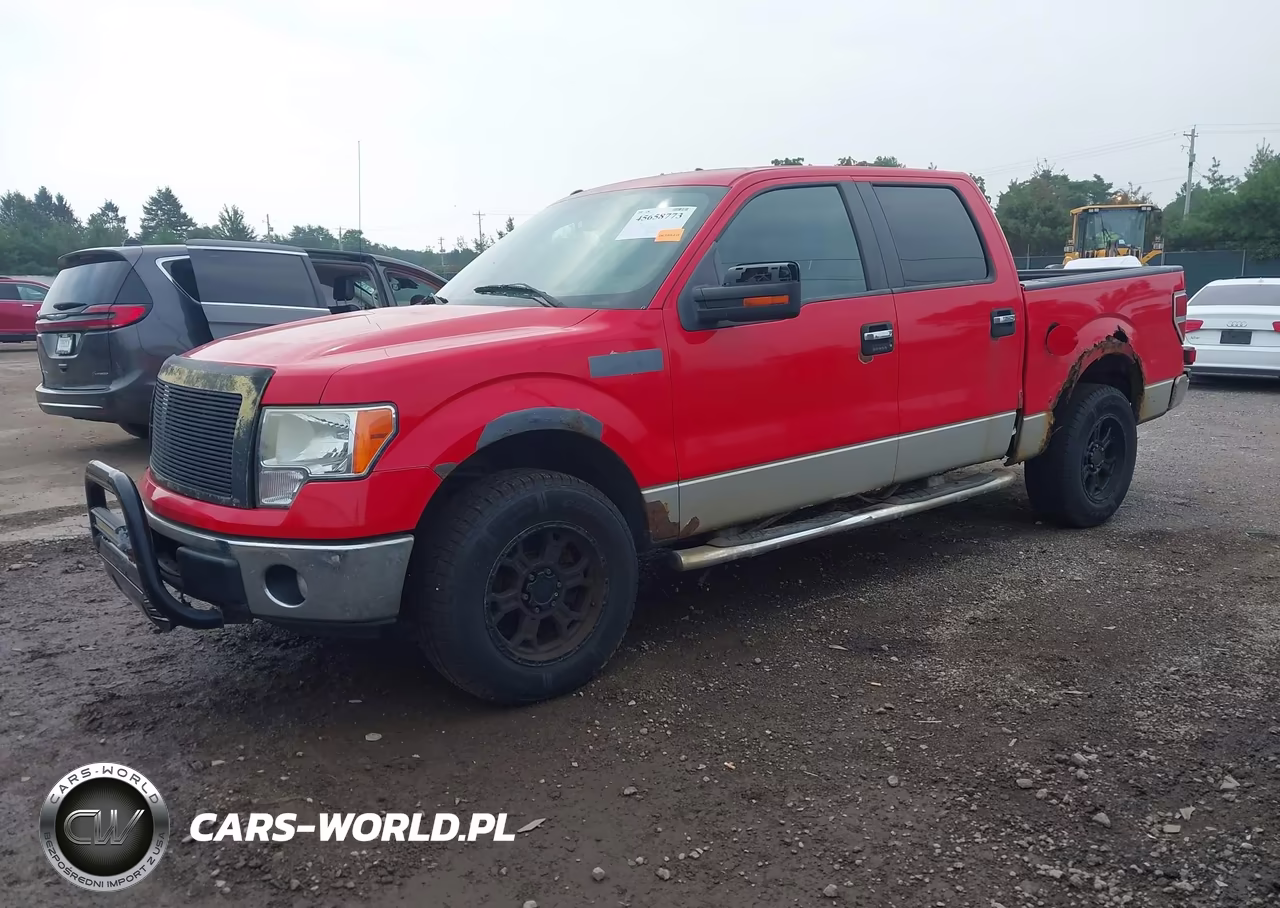 2011 Ford F-150 Xlt VIN:1FTFW1EF7BFA00783 - 2