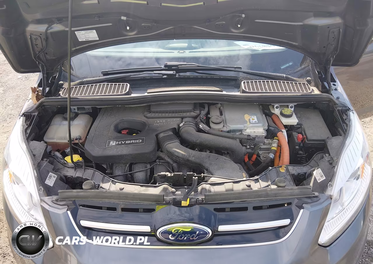 2018 Ford C-Max Hybrid Se VIN:1FADP5AU4JL102063 - 10