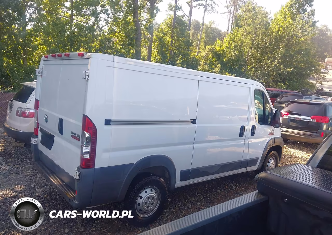 2014 RAM PROMASTER 1500 STANDARD VIN:3C6TRVAGXEE100494 - 13