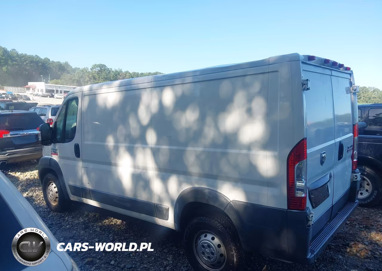 2014 RAM PROMASTER 1500 STANDARD VIN:3C6TRVAGXEE100494 - 14