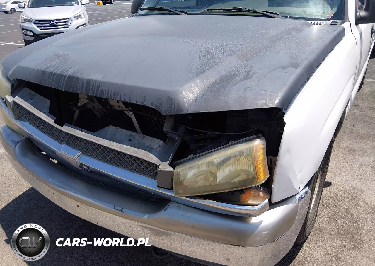 2004 Chevrolet Silverado 1500 Work Truck VIN:1GCEC14X24Z233454 - 6