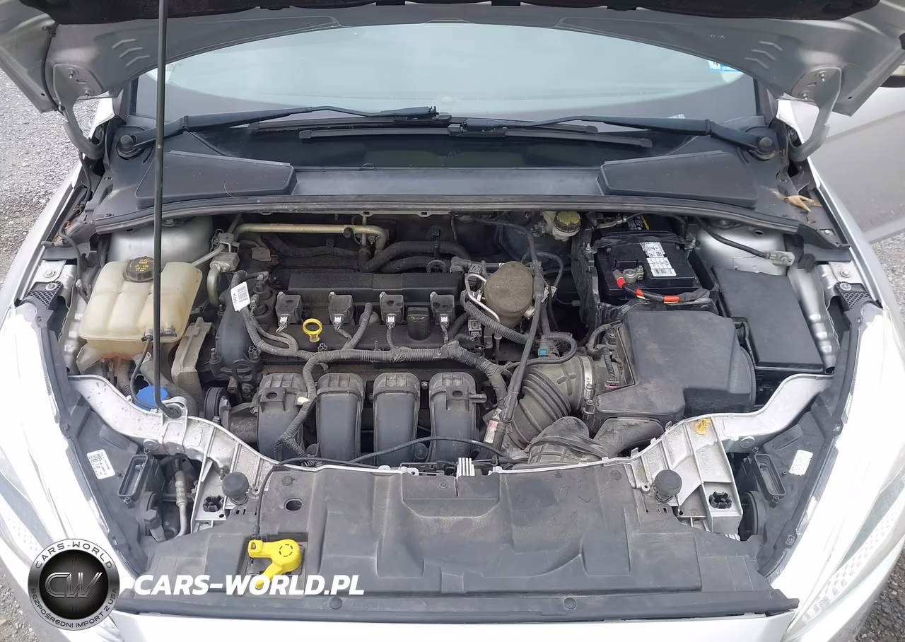 2015 Ford Focus Se VIN:1FADP3K24FL253123 - 10