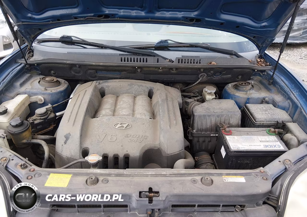 2006 Hyundai Santa Fe Gls VIN:KM8SC73D76U092289 - 10