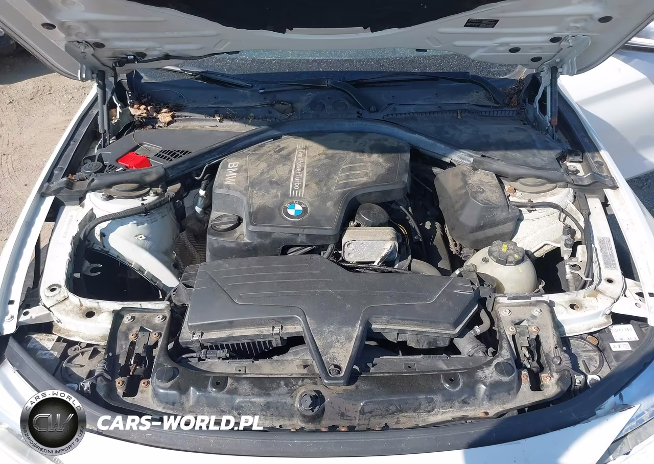 2015 BMW 428I xDrive VIN:WBA3N9C52FK246892 - 10