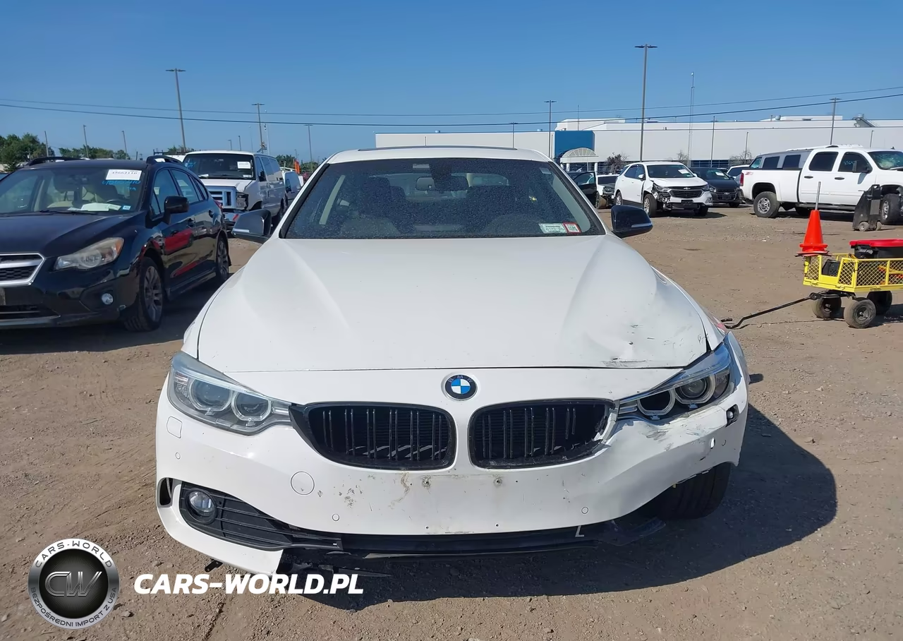 2015 BMW 428I xDrive VIN:WBA3N9C52FK246892 - 17
