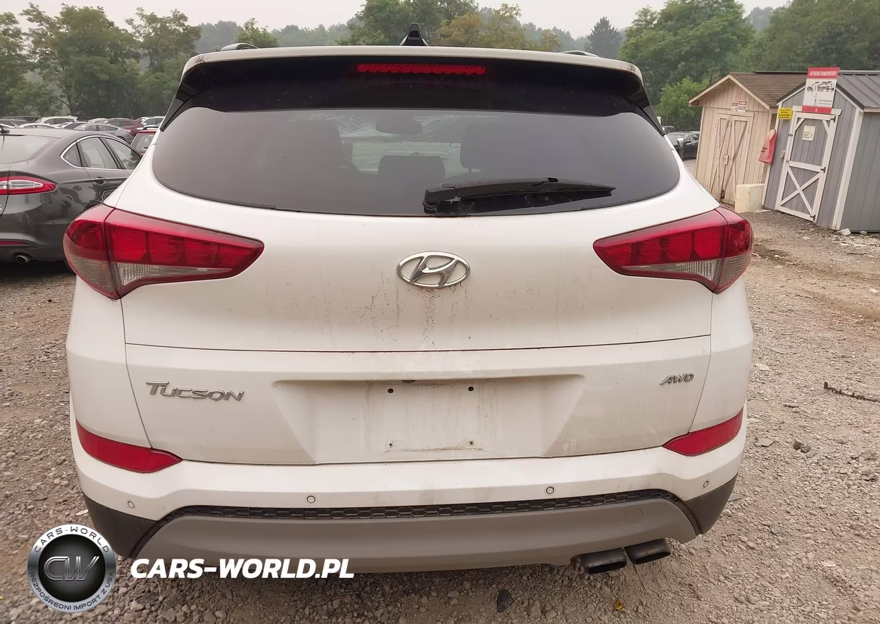 2018 Hyundai Tucson Value VIN:KM8J3CA2XJU625170 - 16