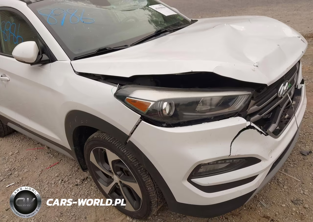2018 Hyundai Tucson Value VIN:KM8J3CA2XJU625170 - 17
