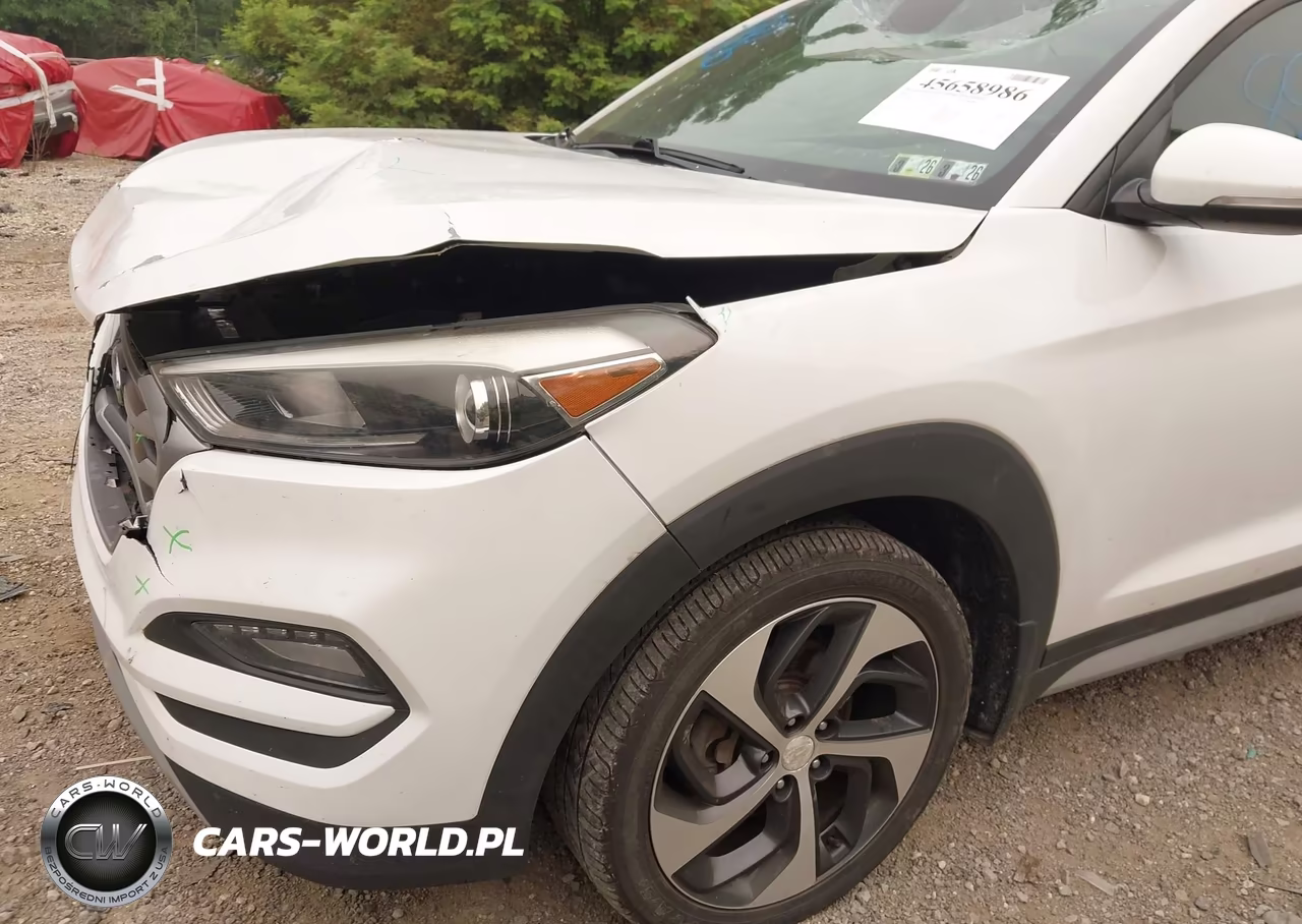 2018 Hyundai Tucson Value VIN:KM8J3CA2XJU625170 - 19