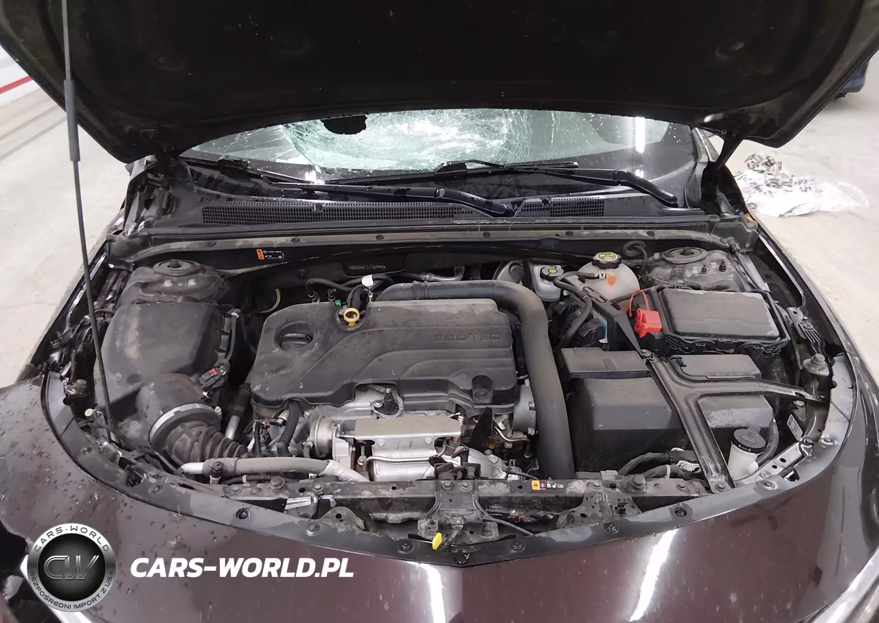 2020 Chevrolet Malibu Fwd Lt VIN:1G1ZD5ST3LF024447 - 10