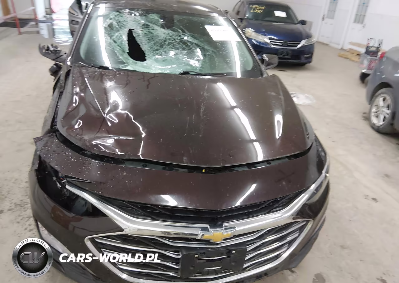 2020 Chevrolet Malibu Fwd Lt VIN:1G1ZD5ST3LF024447 - 17