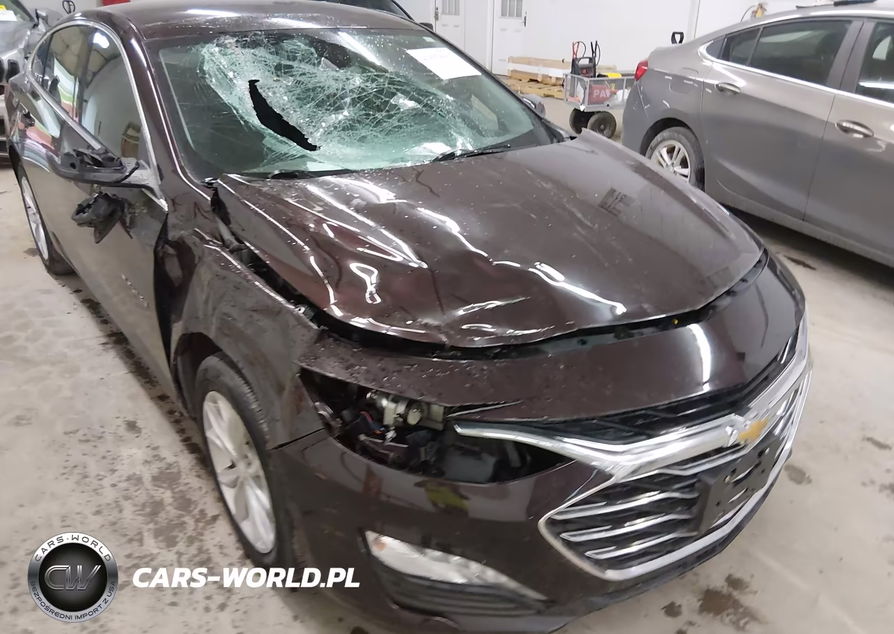 2020 Chevrolet Malibu Fwd Lt VIN:1G1ZD5ST3LF024447 - 18