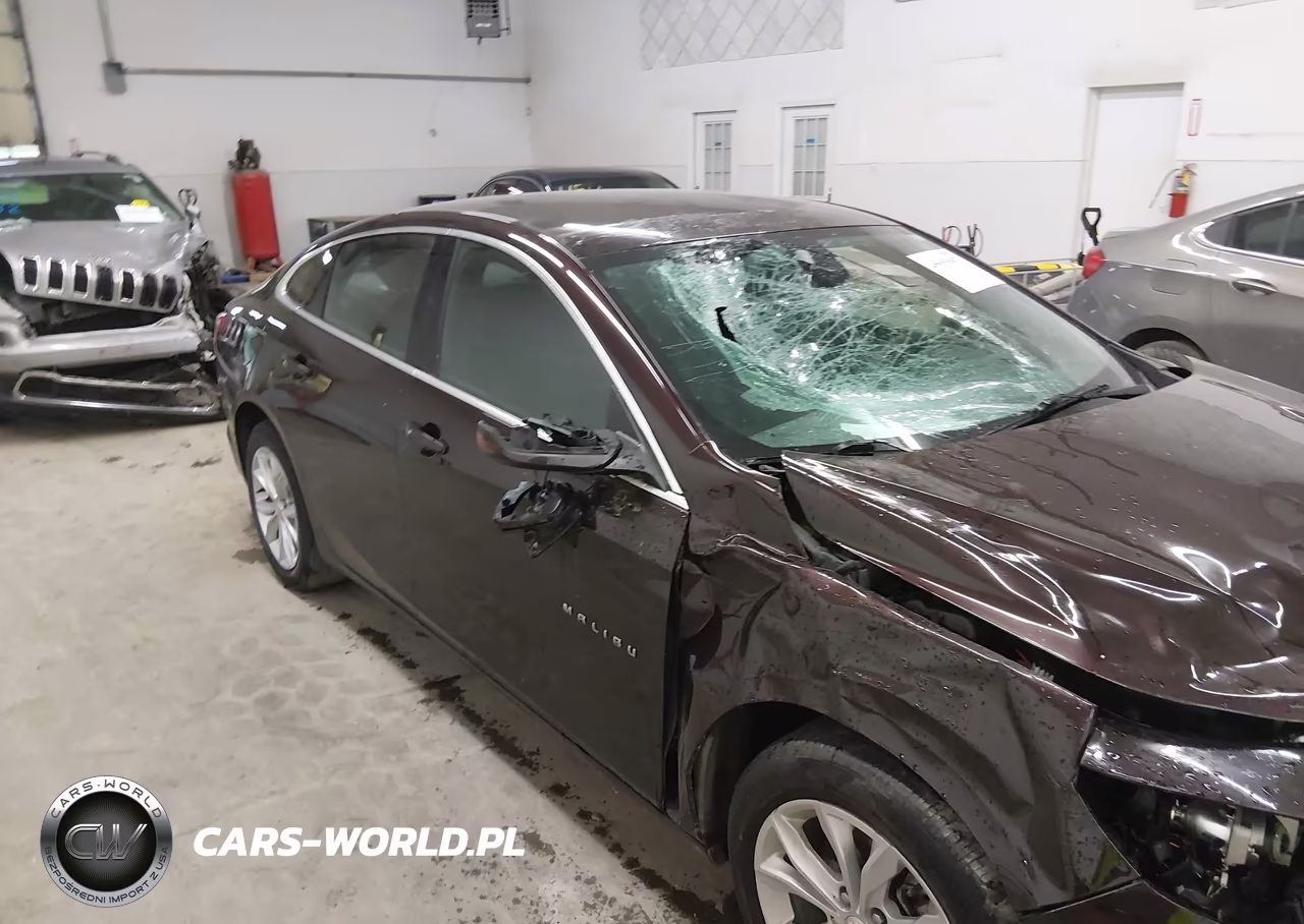 2020 Chevrolet Malibu Fwd Lt VIN:1G1ZD5ST3LF024447 - 19