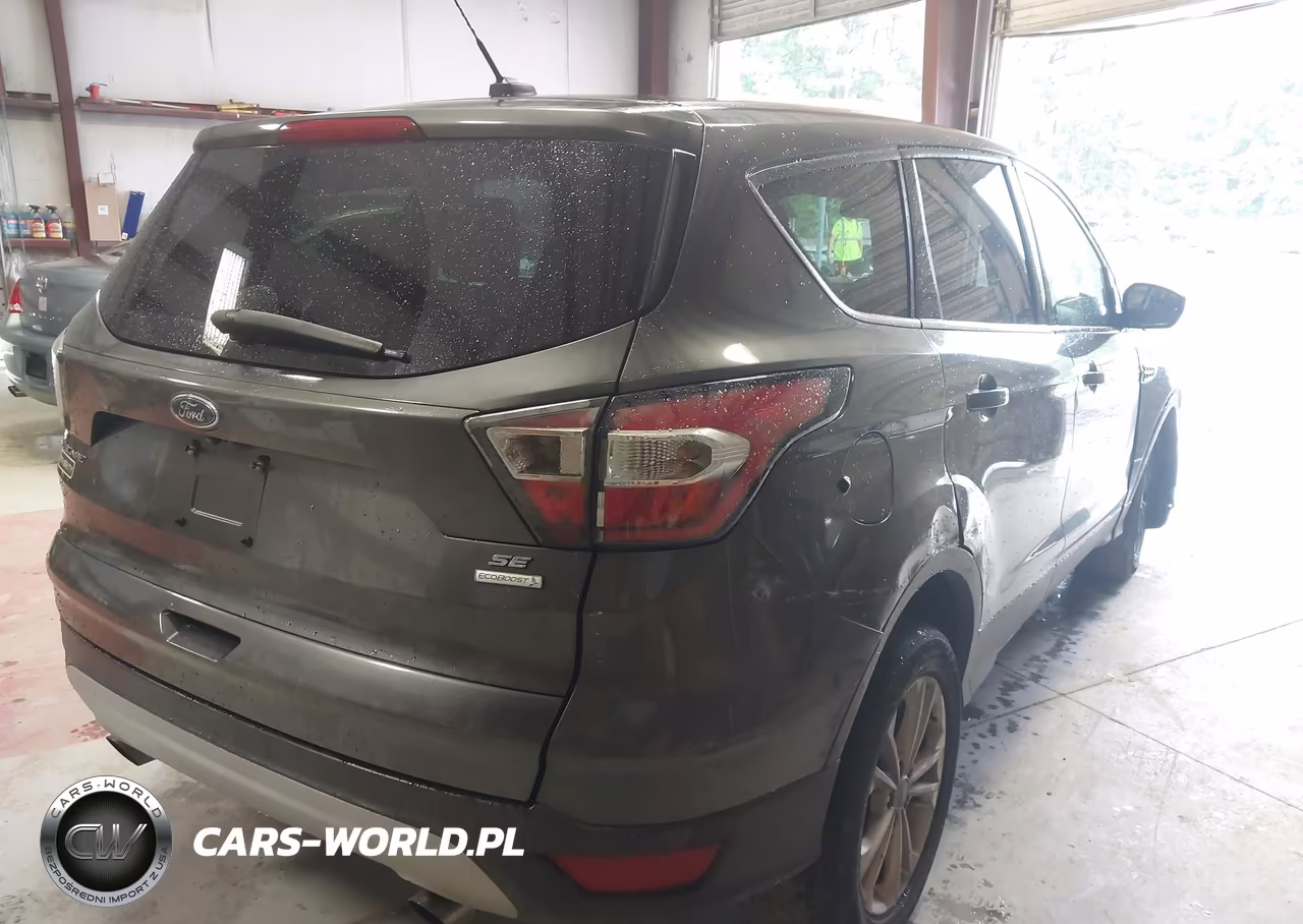 2017 Ford Escape Se VIN:1FMCU0G94HUA15722 - 4
