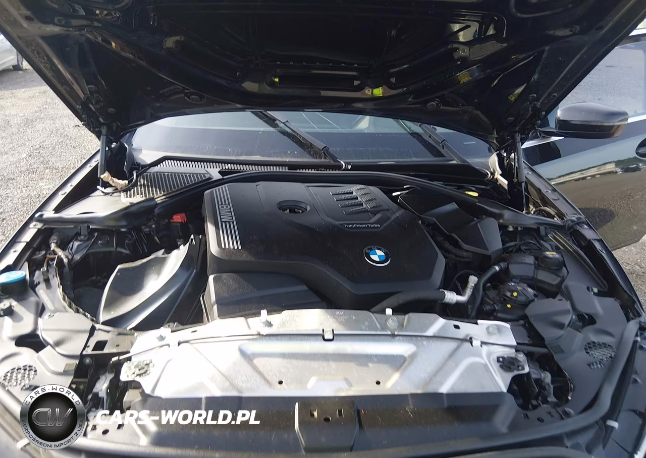 2019 BMW 330I VIN:WBA5R1C54KAK09504 - 10