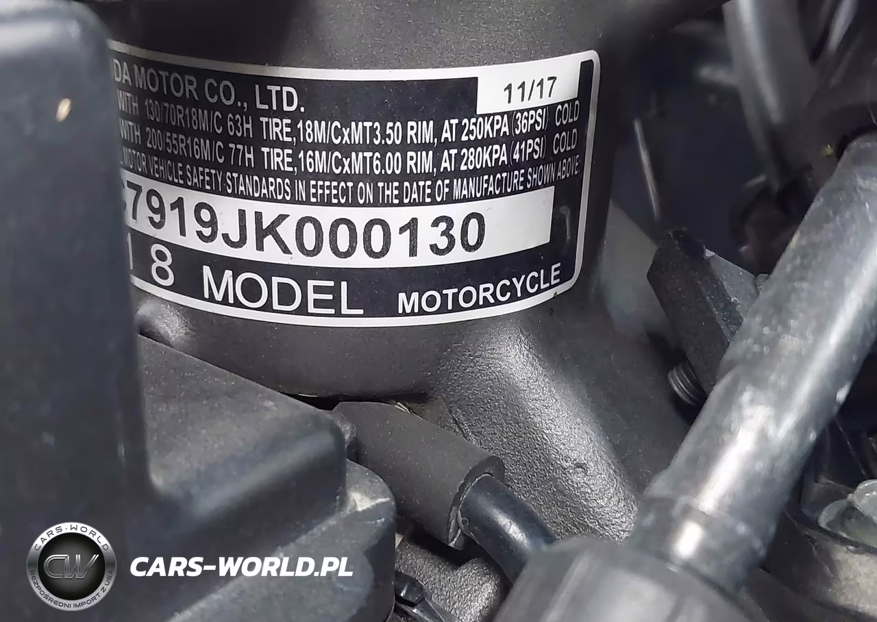 2018 Honda Gl1800 B VIN:JH2SC7919JK000130 - 10