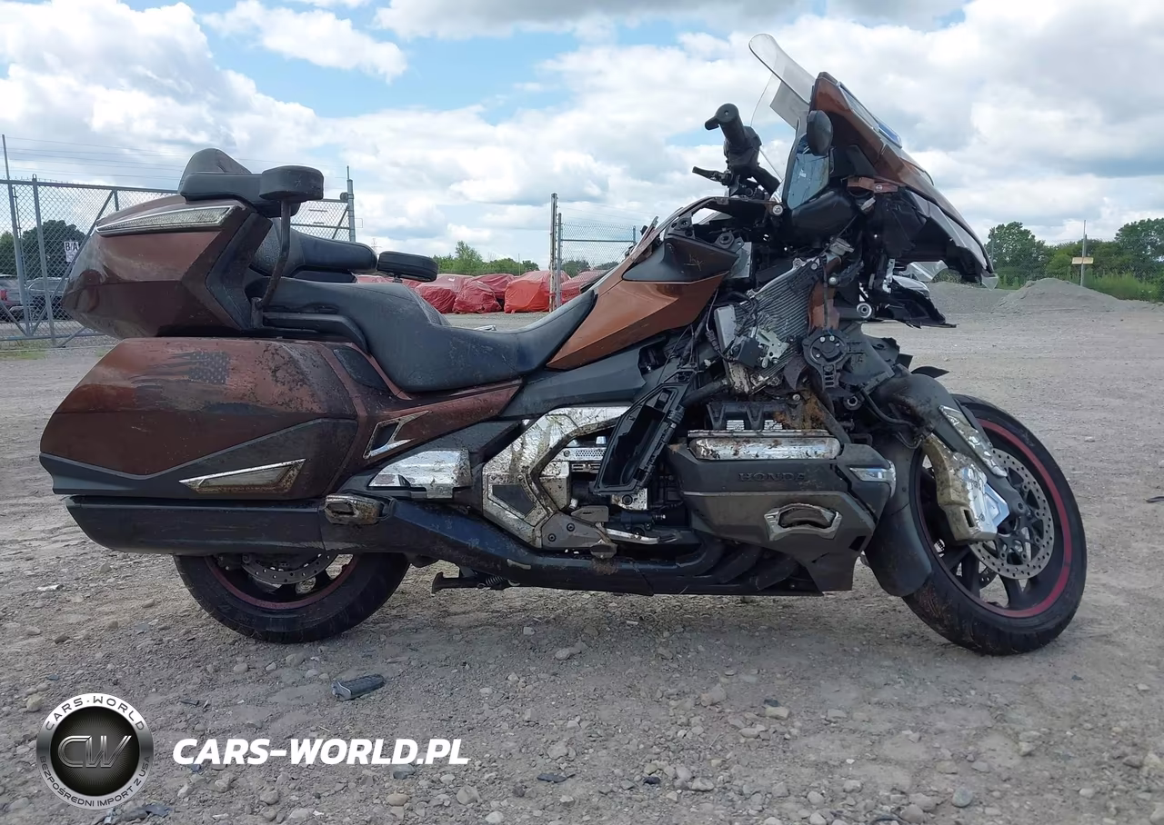 2018 Honda Gl1800 B VIN:JH2SC7919JK000130 - 12