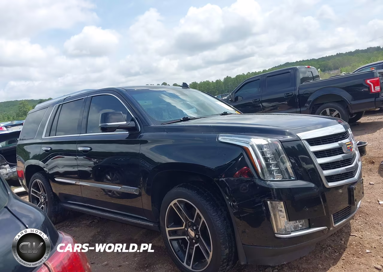 2016 Cadillac Escalade Premium Collection VIN:1GYS4CKJ1GR301770 - 14