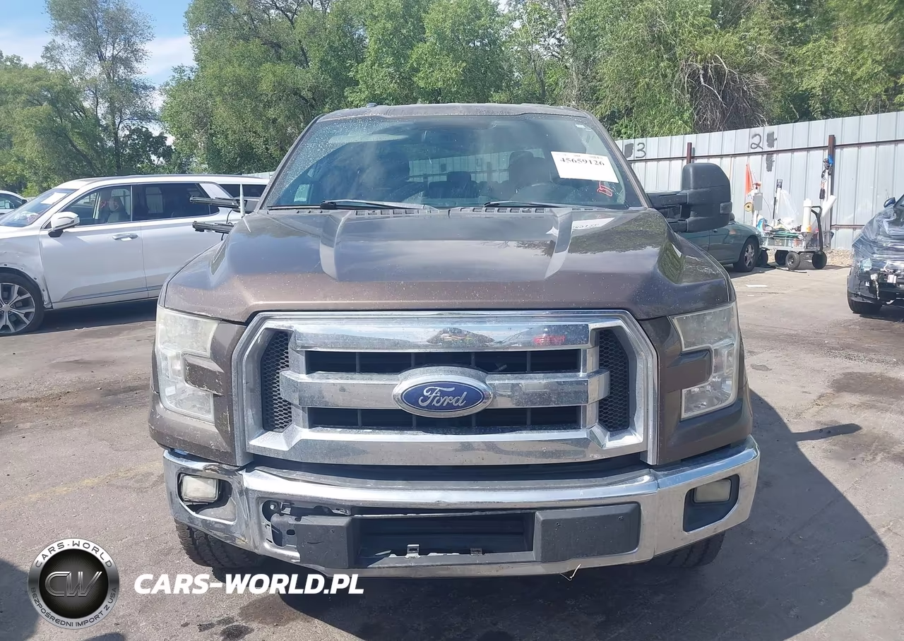 2015 Ford F-150 Xlt VIN:1FTFW1EG4FKD02182 - 12
