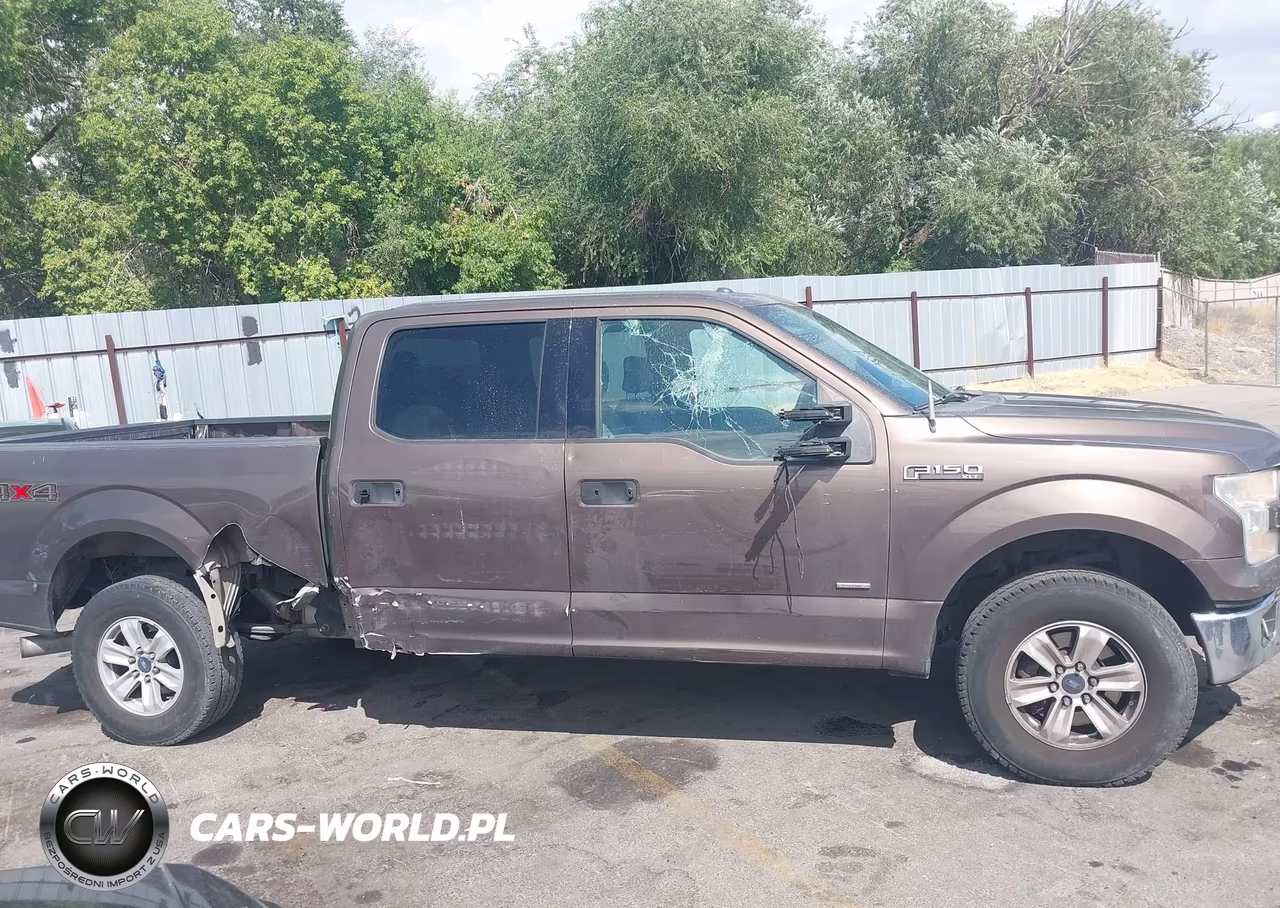 2015 Ford F-150 Xlt VIN:1FTFW1EG4FKD02182 - 13